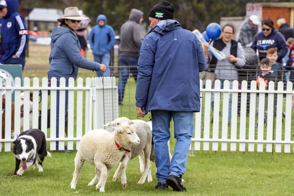 Djerriwarrh Festival