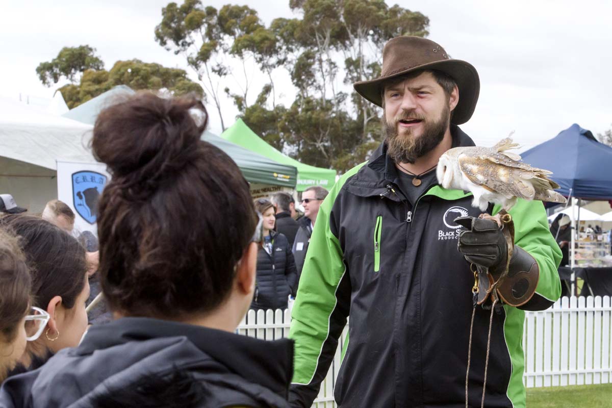 Djerriwarrh Festival