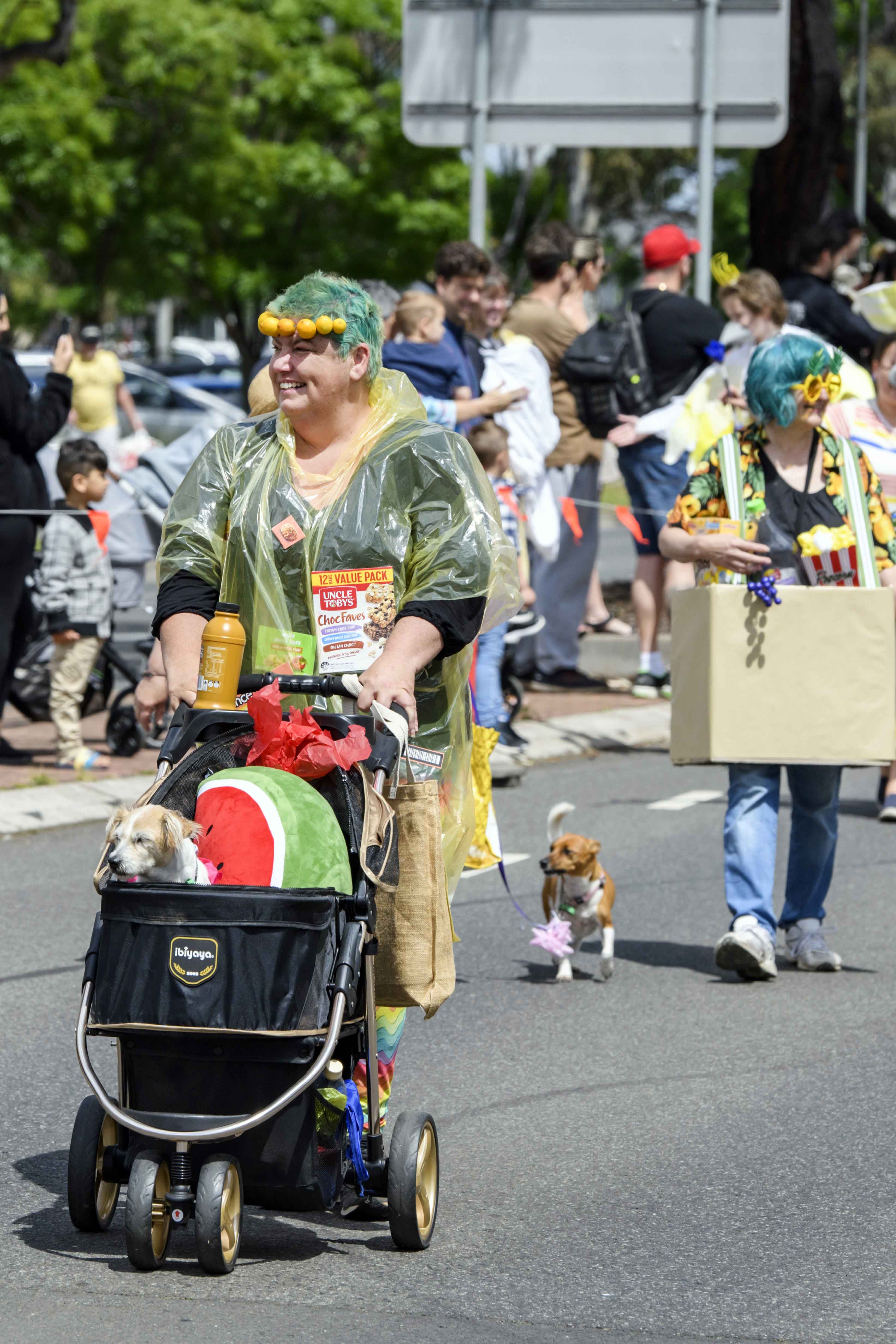 DJ Festival Street Parade 2022